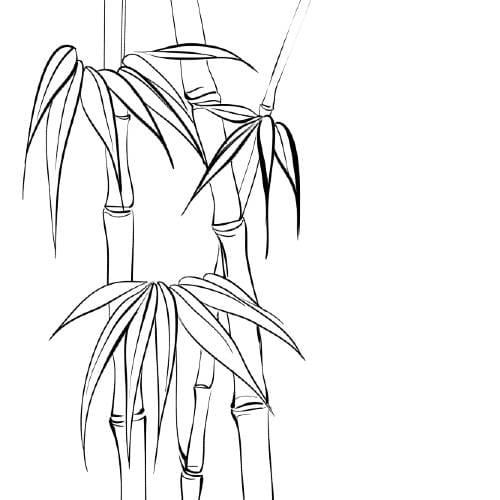 imgi_8_flowers-bamboo
